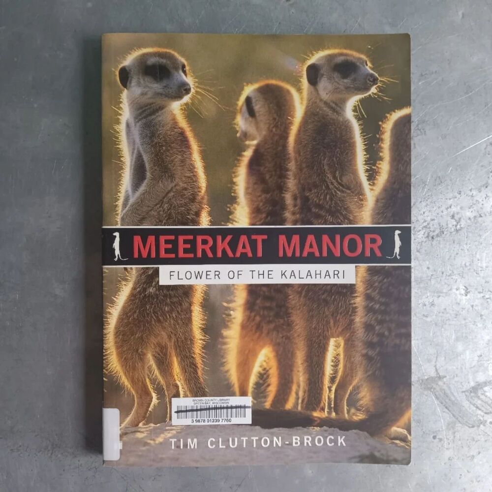 Meerkat Manor: Flower of the Kalahari By Tim Clutton-Brock Paperback Animals